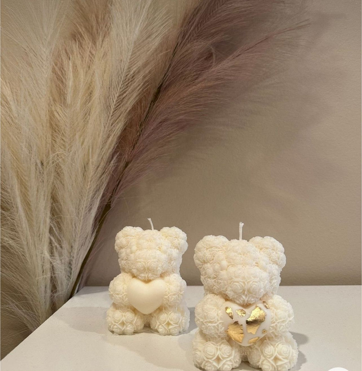 Vela Teddy